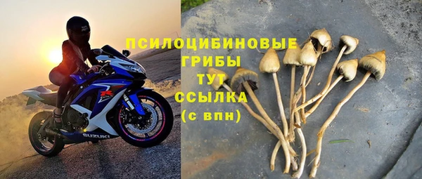 2c-b Кукмор