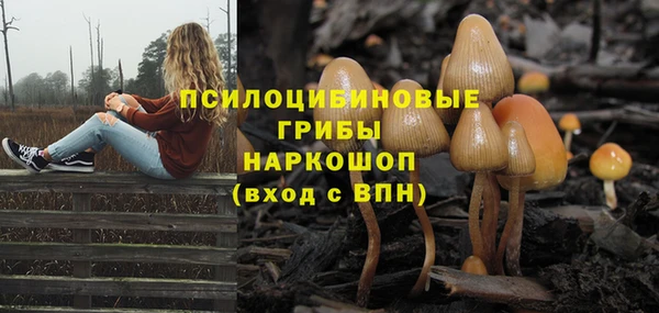 2c-b Кукмор