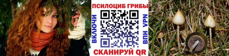 Купить закладки  Исилькуль  Галлюциногенные грибы ЛСД 